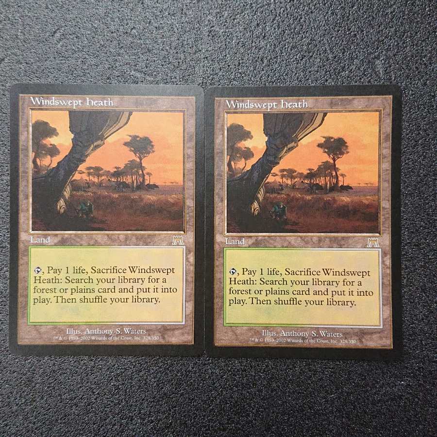 MTG1  吹きさらしの荒野 Windswept heath 英語版 2枚セット