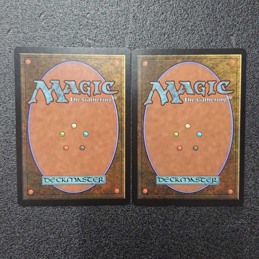 MTG1  吹きさらしの荒野 Windswept heath 英語版 2枚セット