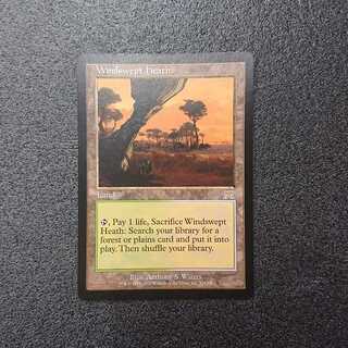 MTG1  吹きさらしの荒野 Windswept heath 英語版