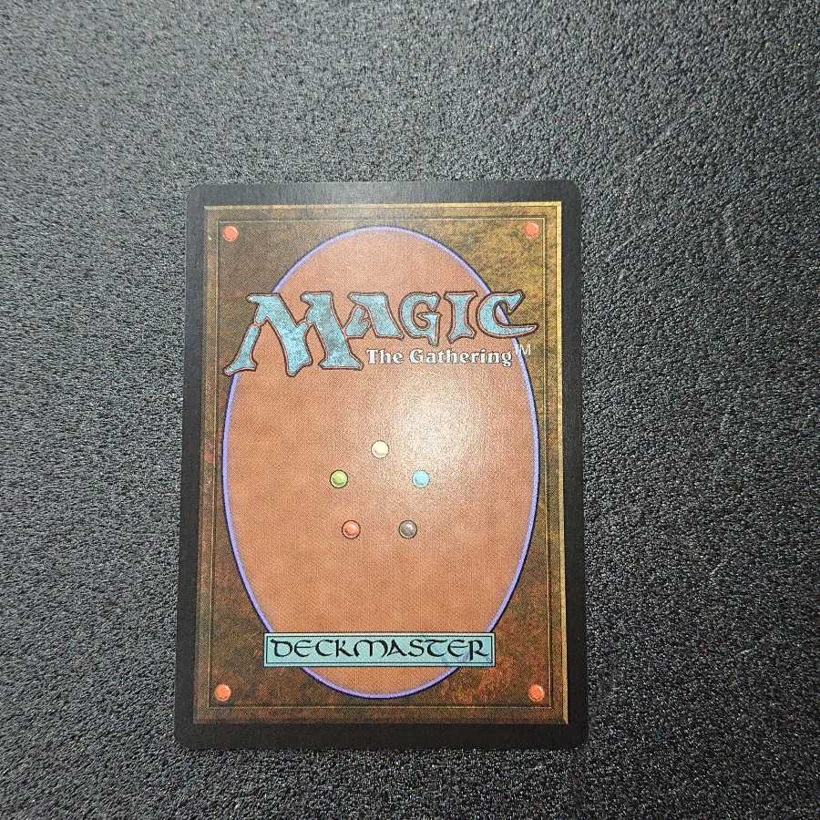 MTG1  吹きさらしの荒野 Windswept heath 英語版