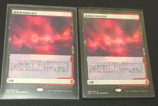 血染めのぬかるみ ZNE トッパー版2枚セット