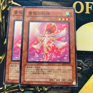 マドレース1068薔薇の妖精 ノーマル