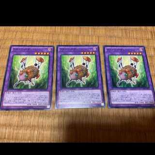 遊戯王 デストーイ・チェーン・シープ　ノーマル3枚　型番あ-175