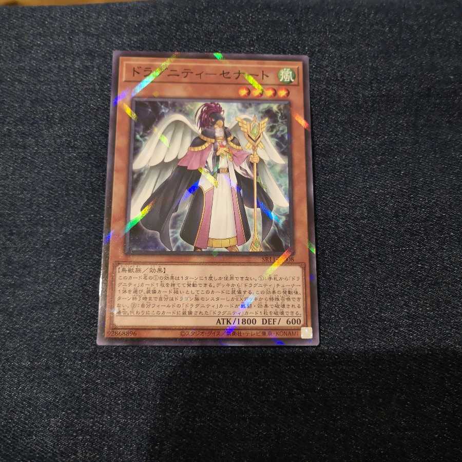 ドラグニティセット