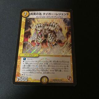真実の名 タイガー・レジェンド