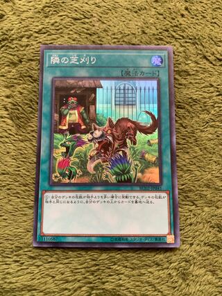 隣の芝刈り スーパーレア