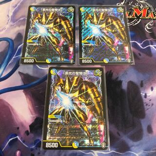 「雷光の聖騎士」