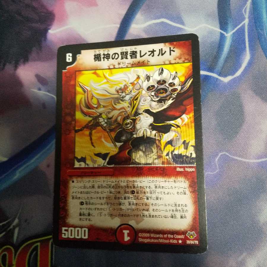 楯神の賢者レオルド R