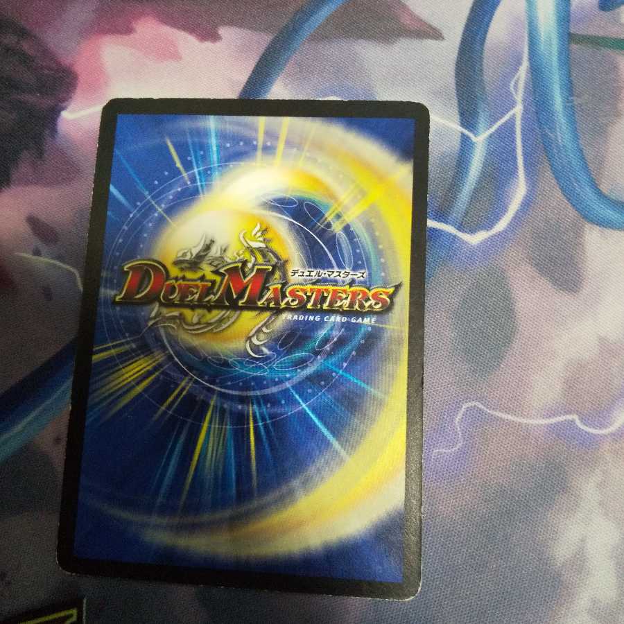 楯神の賢者レオルド R