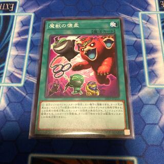 魔獣の懐柔ノーマル