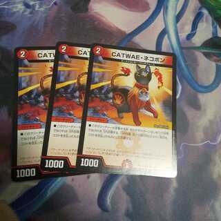 CATWAE・ネコボン U