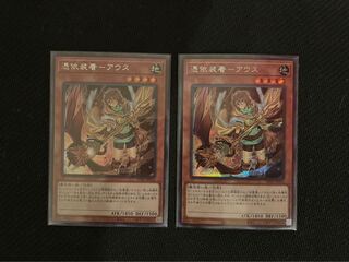 【最終お値下げ】憑依装着-アウス　SE 2枚セット