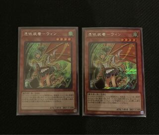 憑依装着-ウィン　SE 2枚セット