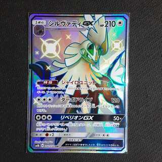 SSR SilvallyGX 242/150