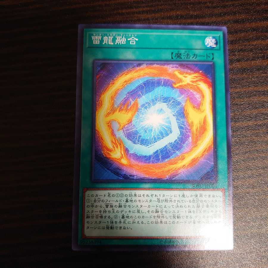 雷龍融合 ノーマル