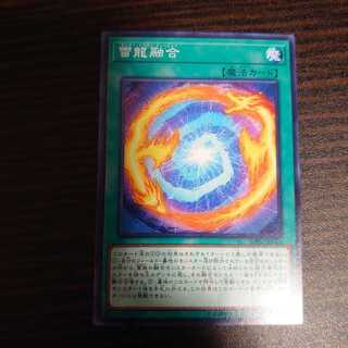 雷龍融合 ノーマル