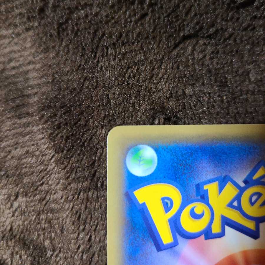 ポケモンセンターのお姉さん