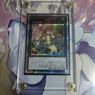 完美品　アロメルスの蟲惑魔 20thシークレットレア　ワンオーナー品