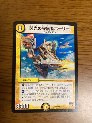 閃光の守護者ホーリー