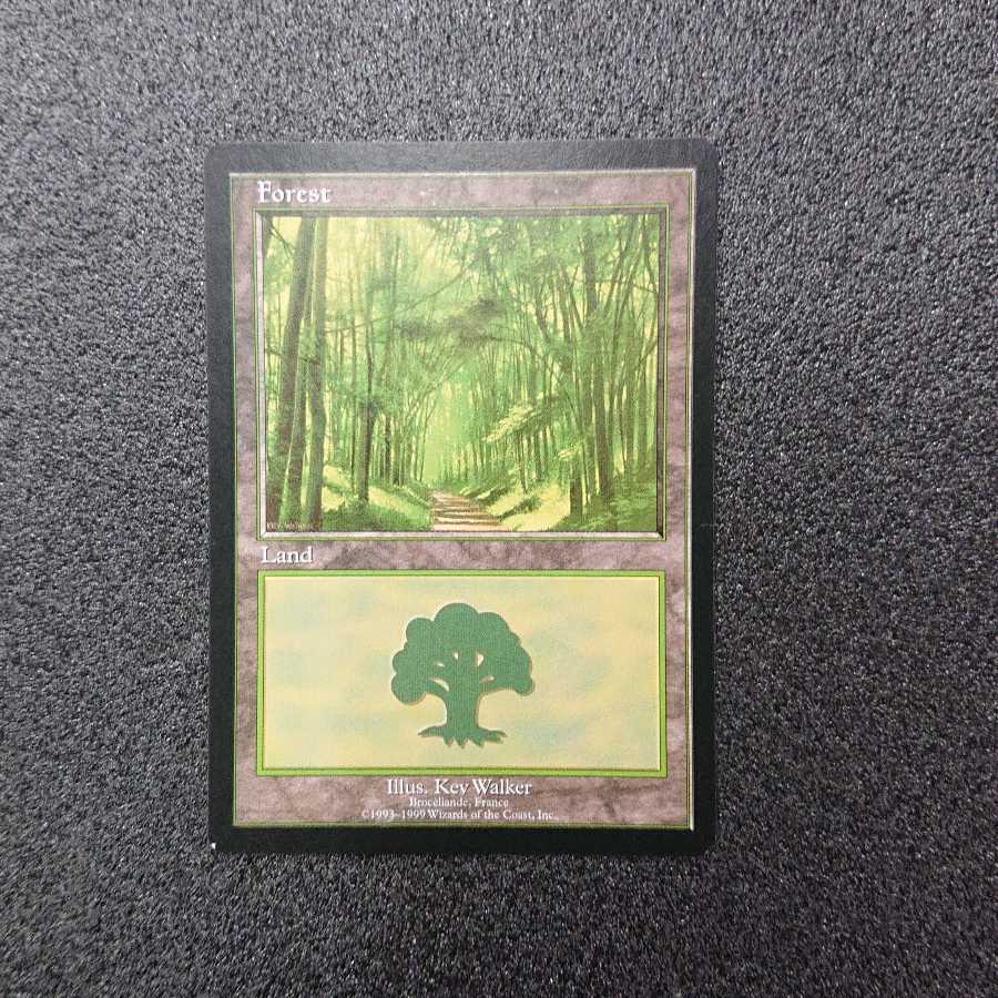 MTG Forest EURO2