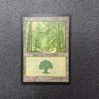 MTG Forest EURO2