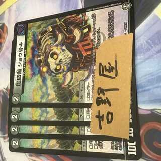 4枚　ジョウ骨キ 4枚