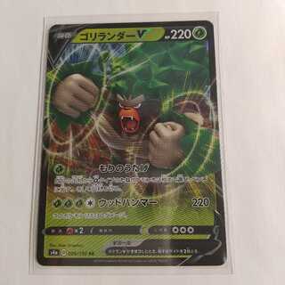 ゴリランダーV RR s4a 009