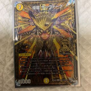 煌龍サッヴァーク シク2