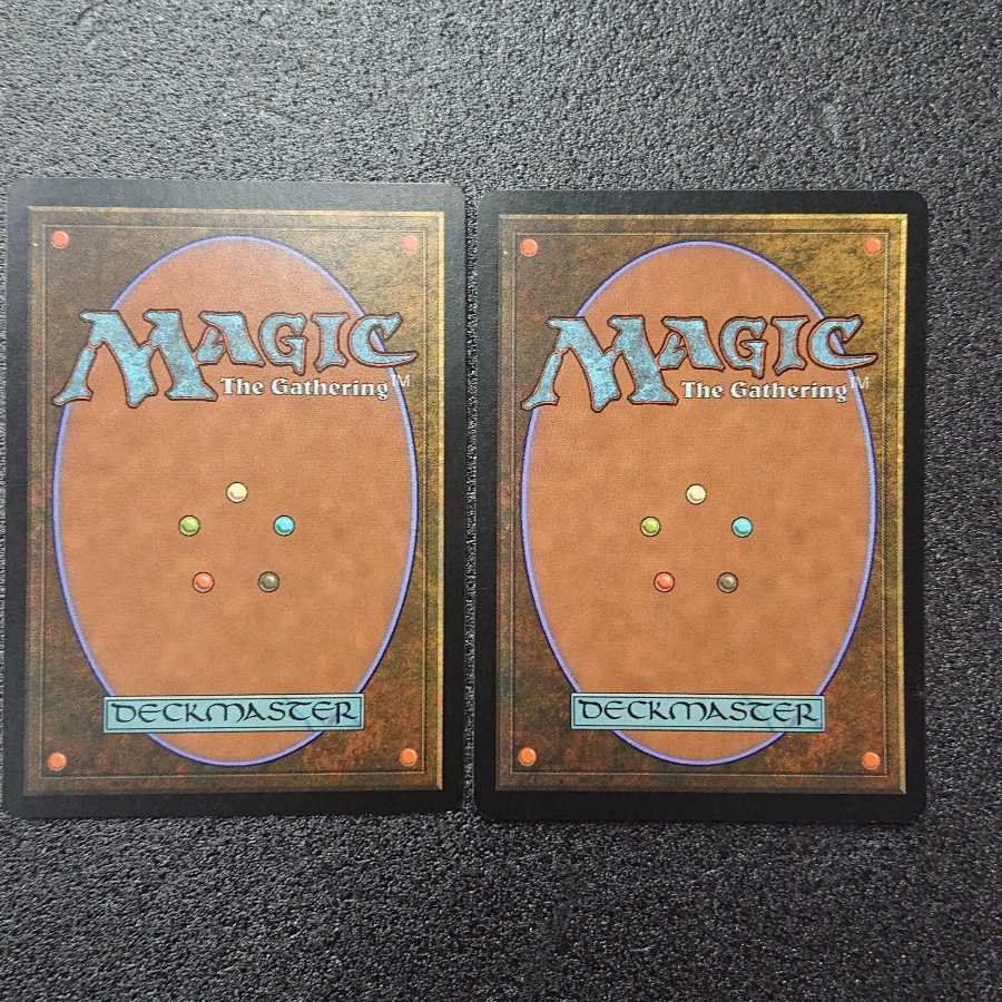 MTG1  さびれた寺院 英語版 2枚セット