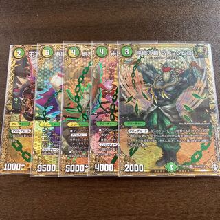 Gorio Bougoli SE set