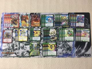 [本当に最終値下げ］オーロラドギラゴン