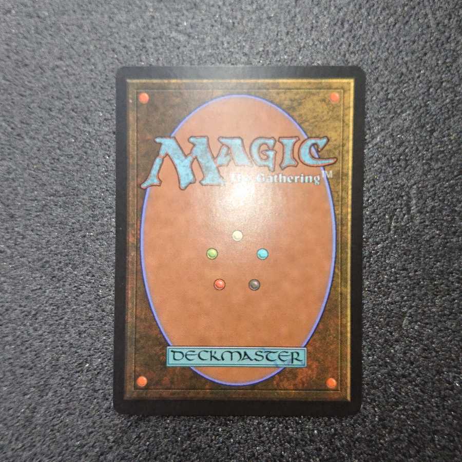 MTG  電結の荒廃者