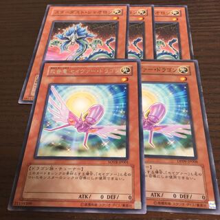 スターダスト・シャオロン