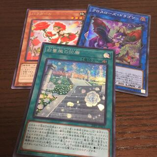 白薔薇の回廊 シークレットレア