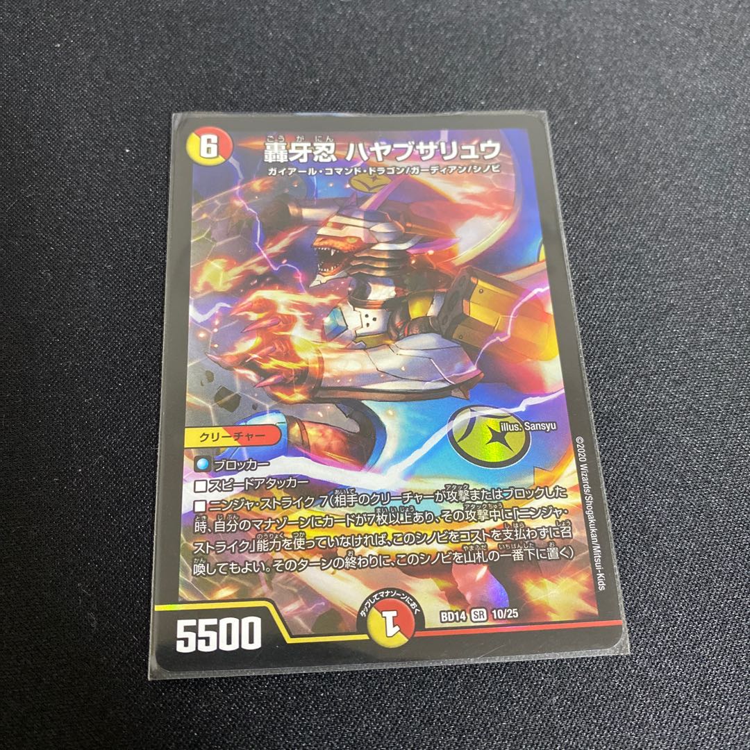 轟牙忍 ハヤブサリュウ