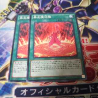 暴走魔法陣 ノーマル 2枚