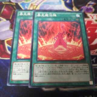 暴走魔法陣 ノーマル 2枚