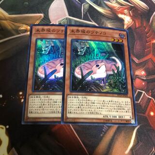 未界域のツチノコ