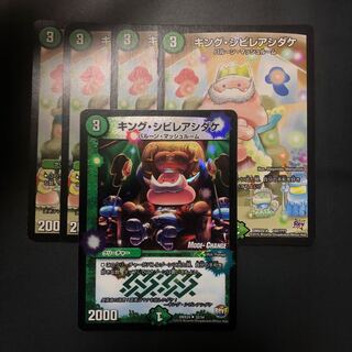 キングシビレアシダケ 5枚