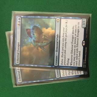 天上の餌あさり 英語版 2枚