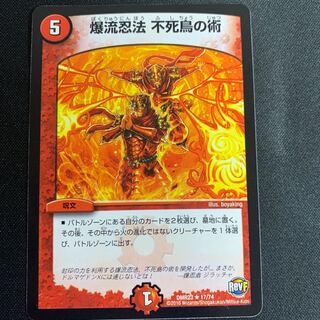 爆流忍法 不死鳥の術 R