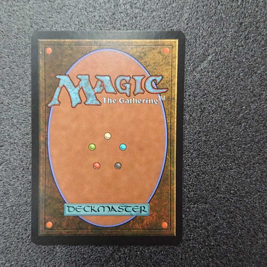 MTG1  マイコシンスの格子 英語版