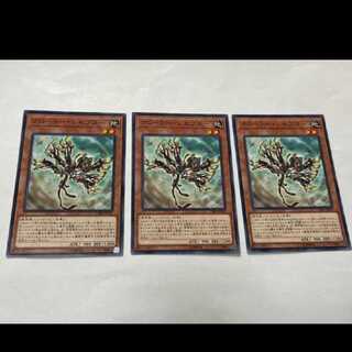 遊戯王 クローラー・レセプター 3枚　型番あ-2617