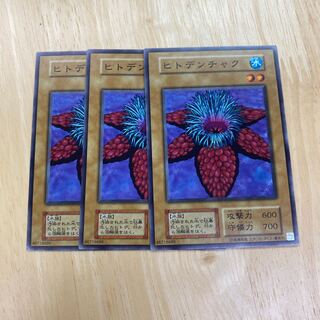 Human dentures Normal 1枚