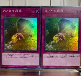 遊戯王 のどかな埋葬