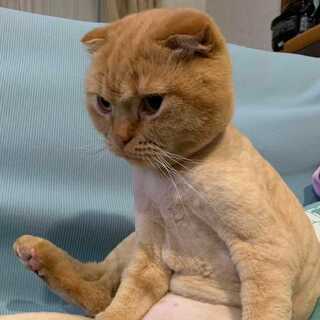 ナミ・ヘイヘ様専用