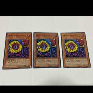 Yu-Gi-Oh! Magical Plant Mandragola 3 cards, model no. Ah-2550