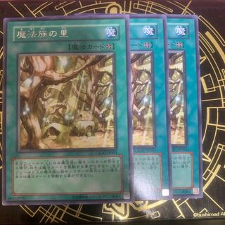 魔法族の里 レア　【きょうこ】