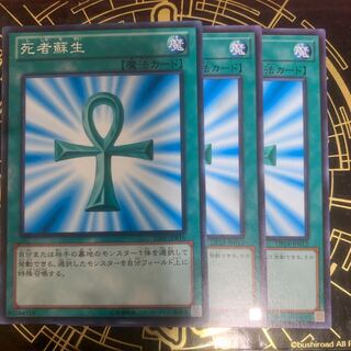 死者蘇生 ノーマル　【きょうこ】