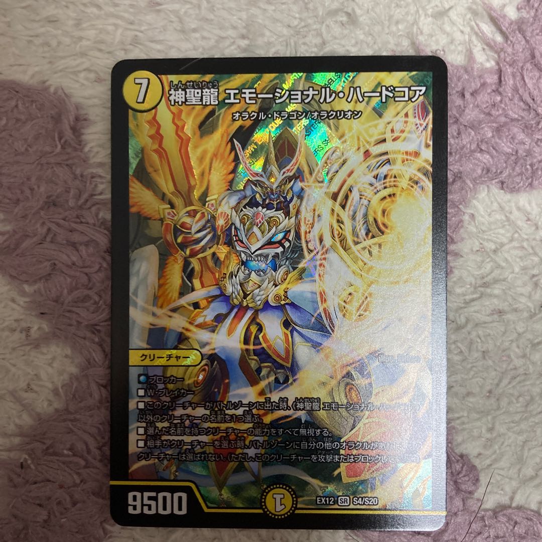 神聖龍 エモーショナル・ハードコア